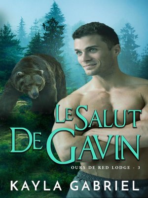 cover image of Le Salut de Gavin